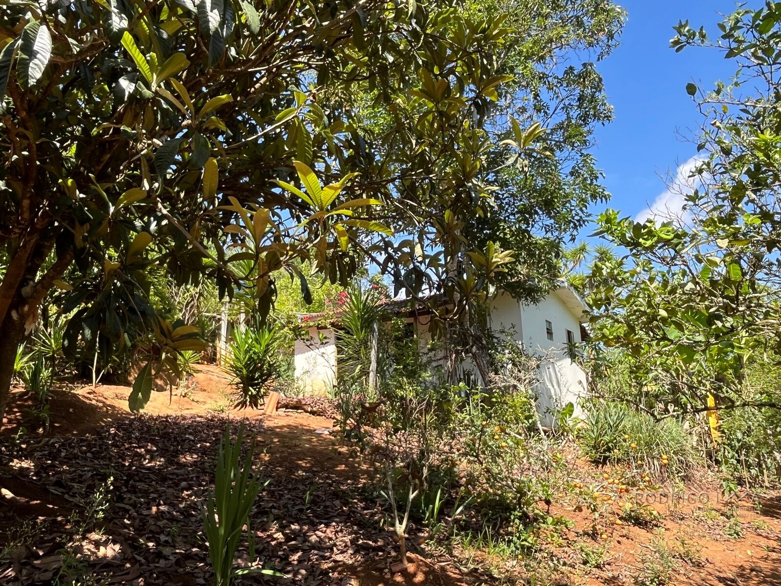 Chácara para venda 20 minutos de São Lourenço MG