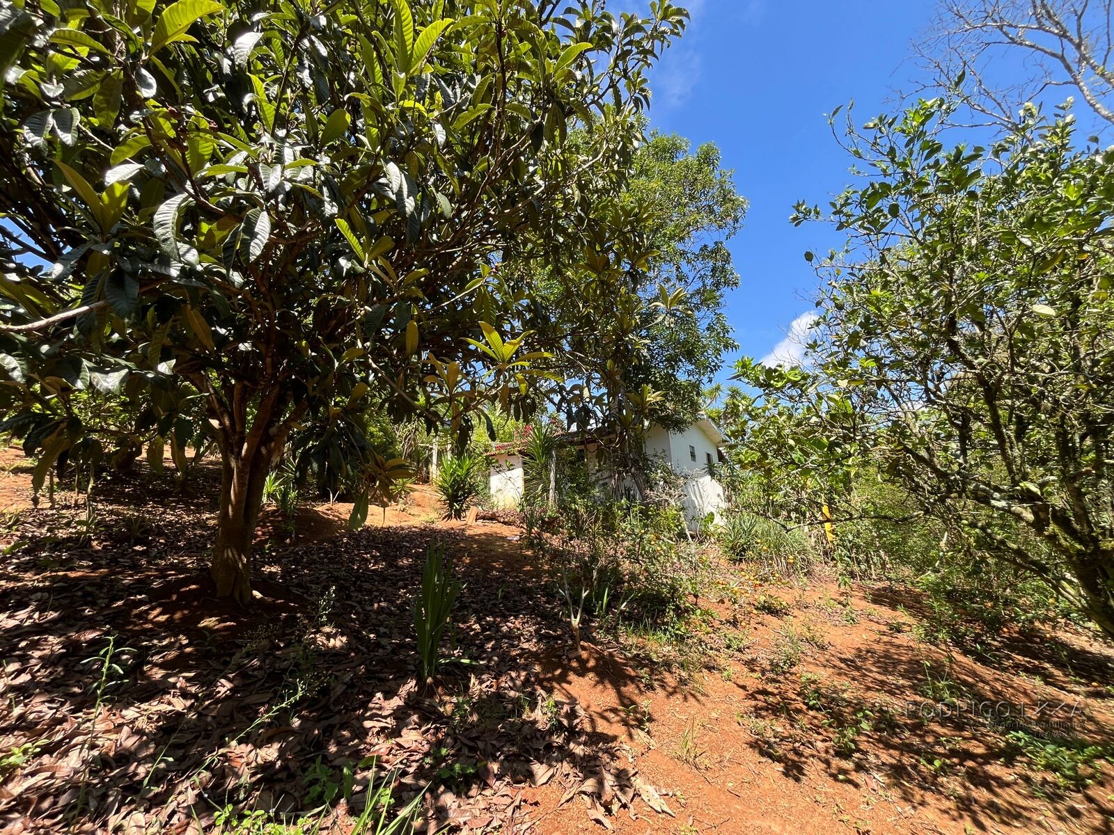 Chácara para venda 20 minutos de São Lourenço MG