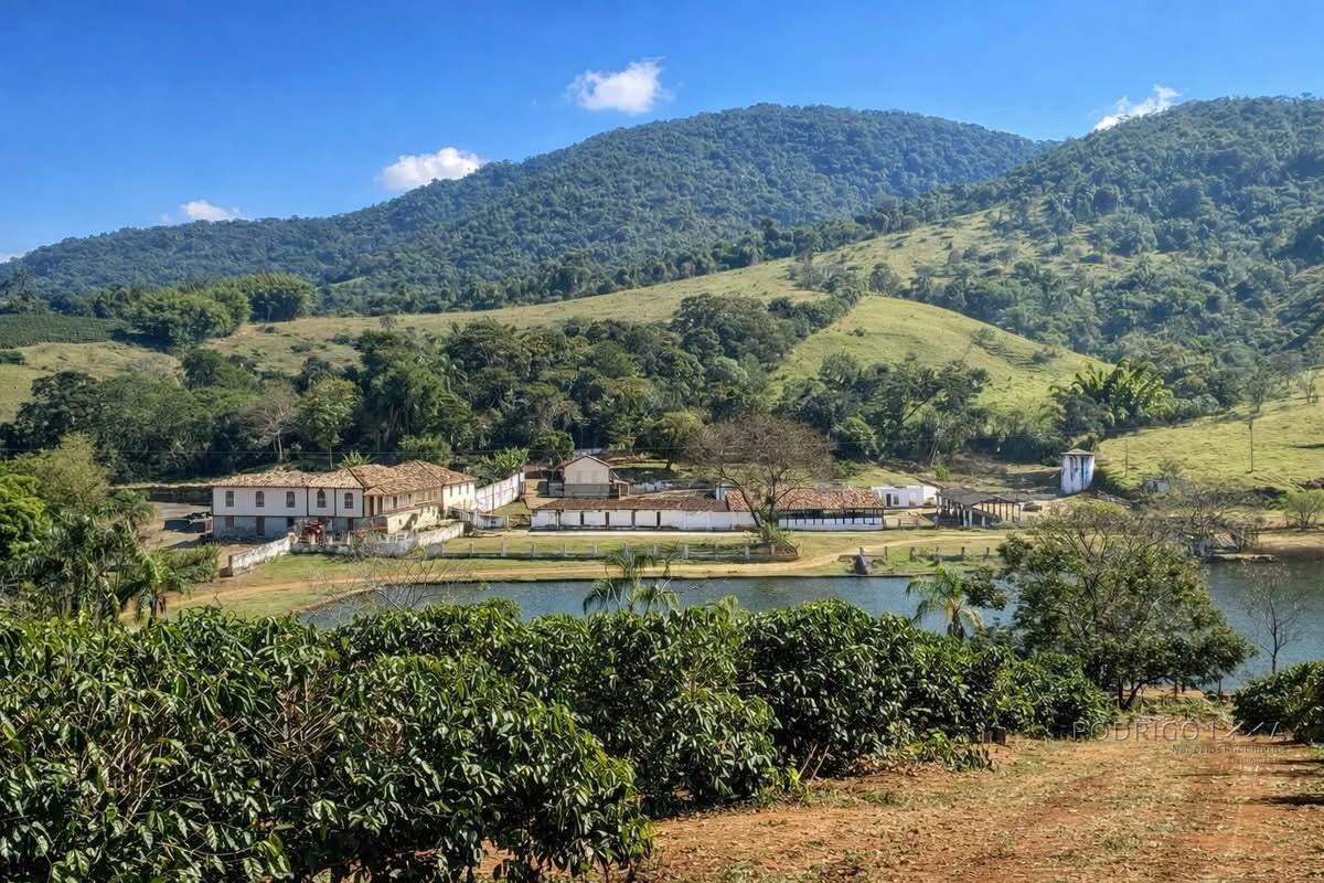 Fazenda para venda em Bom Sucesso MG