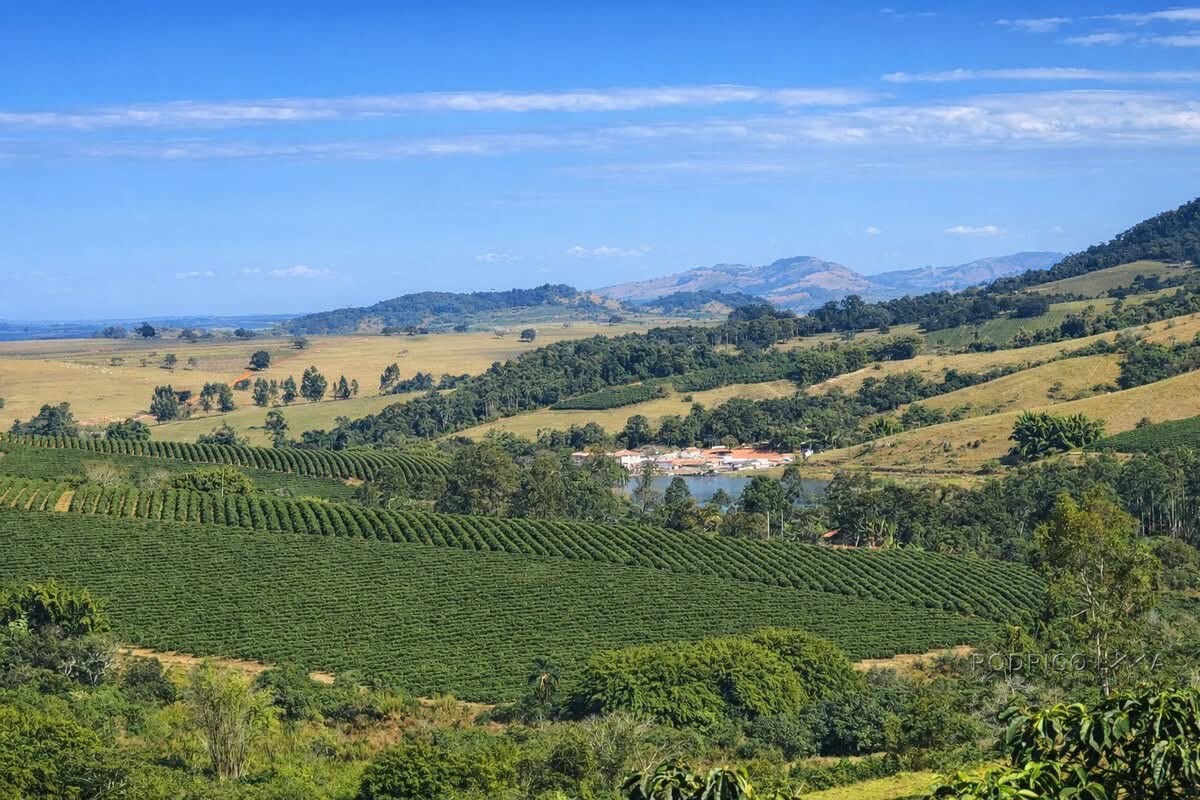 Fazenda para venda em Bom Sucesso MG