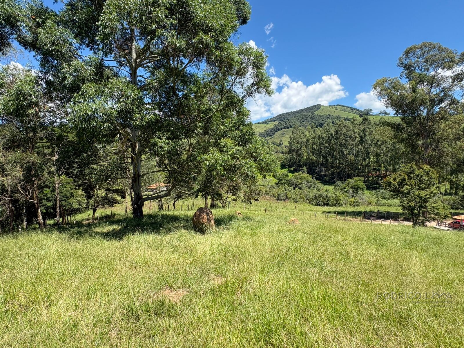 Terreno para venda em Dom Viçoso Mg