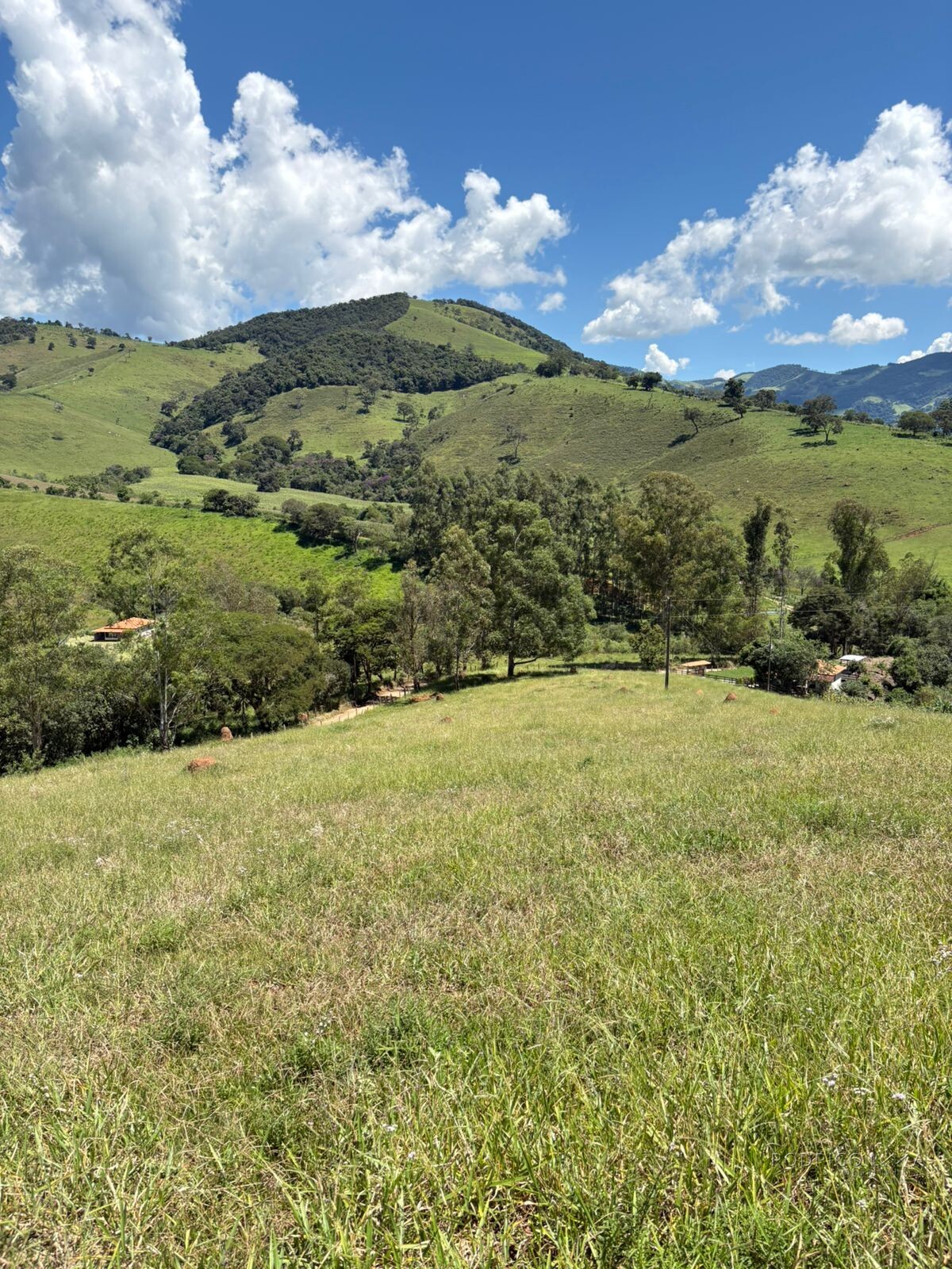 Terreno para venda em Dom Viçoso Mg