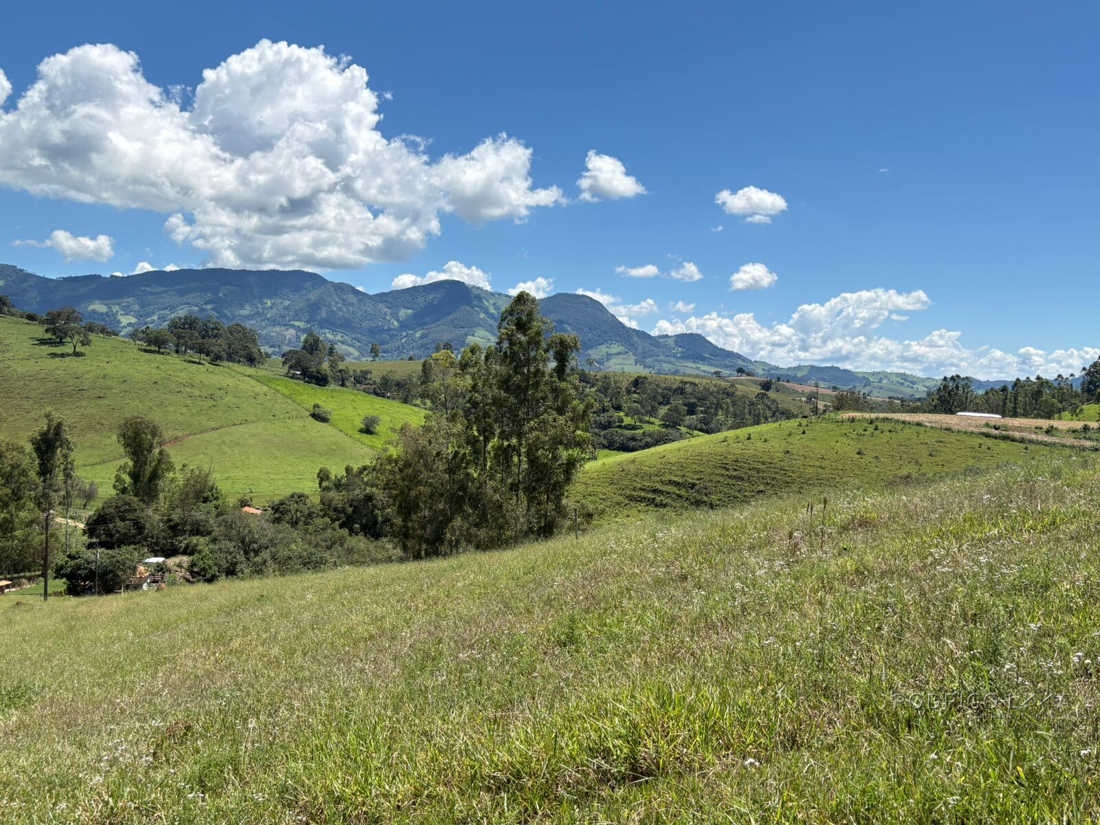 Terreno para venda em Dom Viçoso Mg