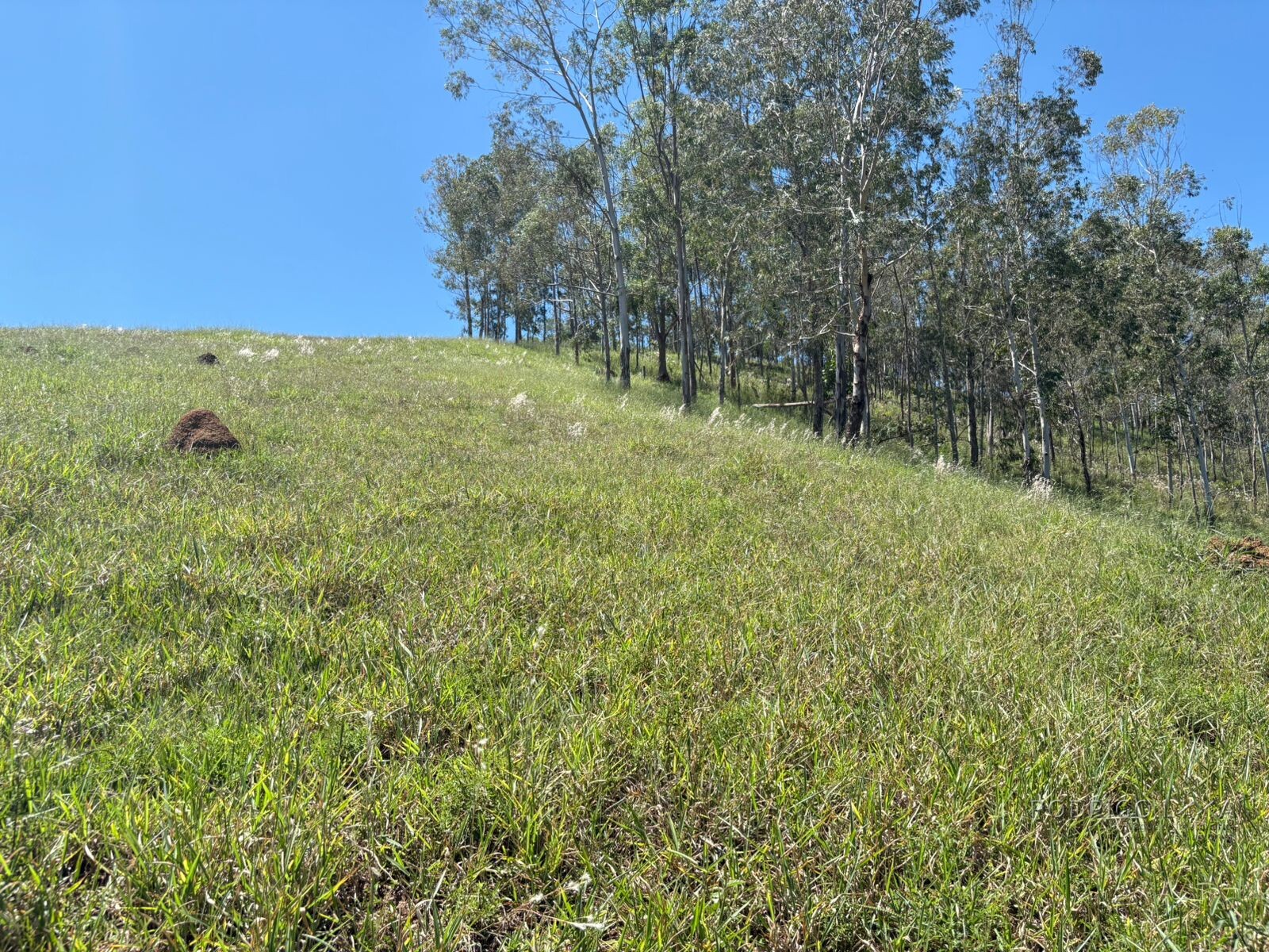 Terreno para venda em Dom Viçoso Mg