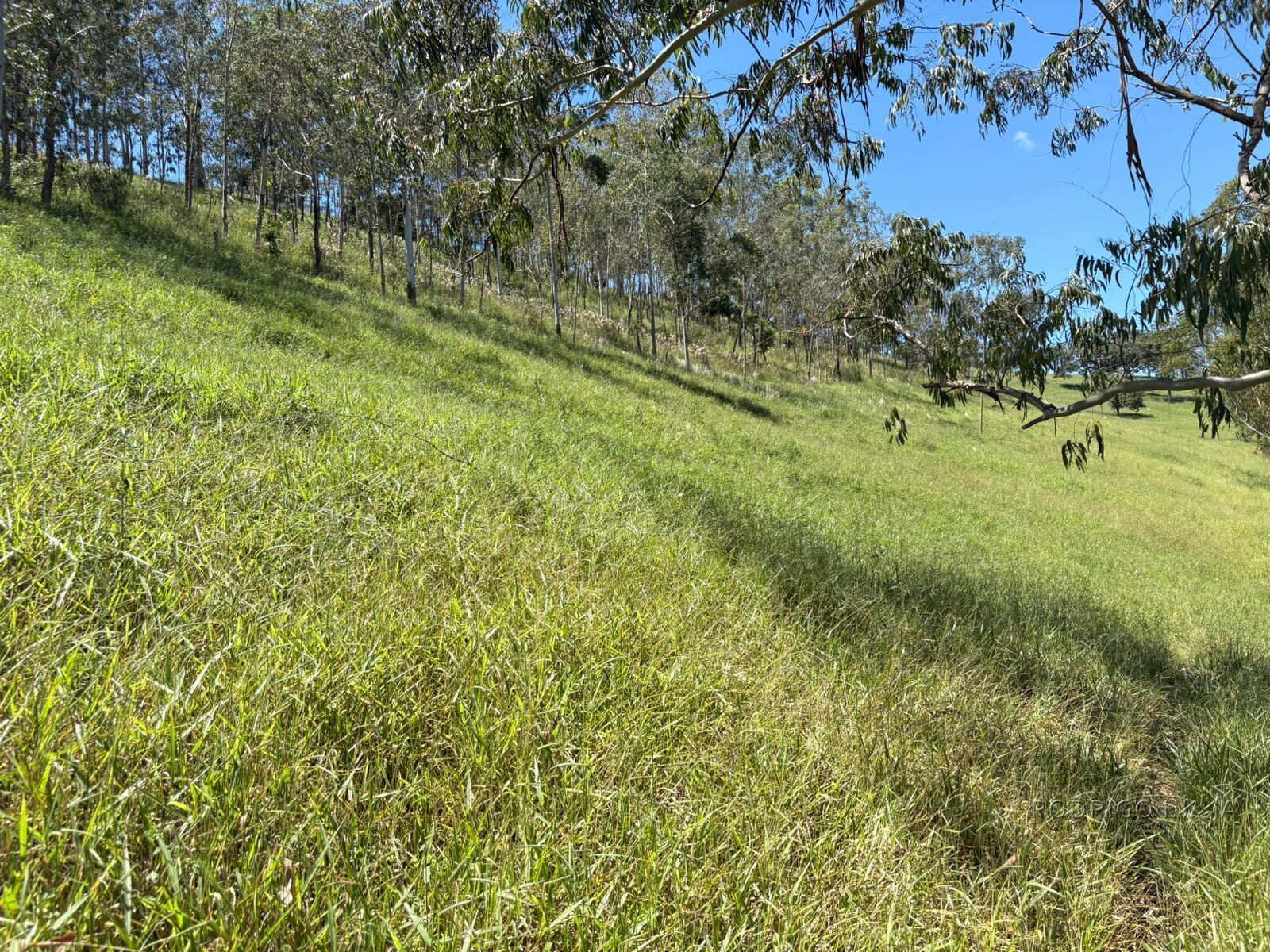 Terreno para venda em Dom Viçoso Mg