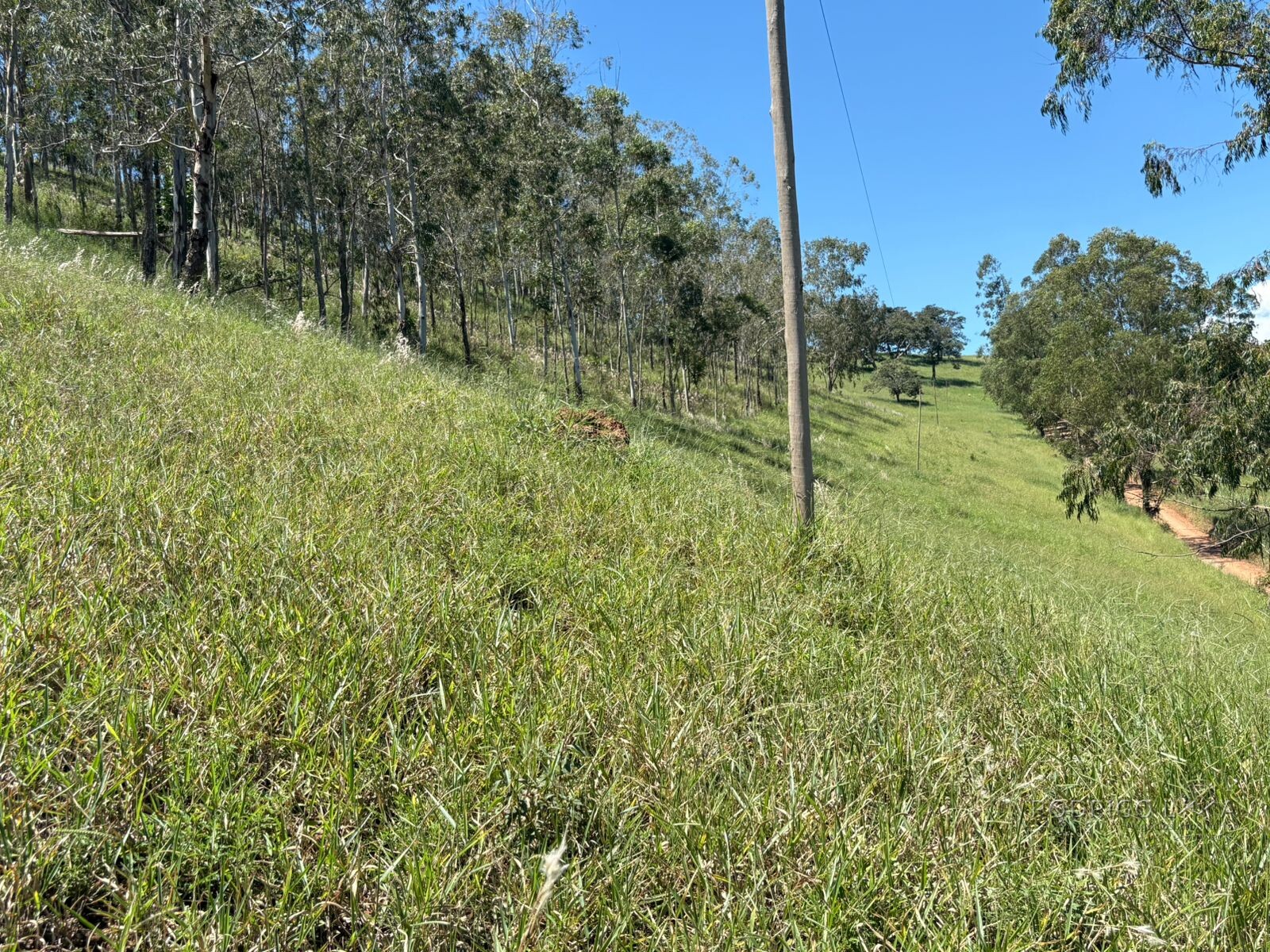 Terreno para venda em Dom Viçoso Mg