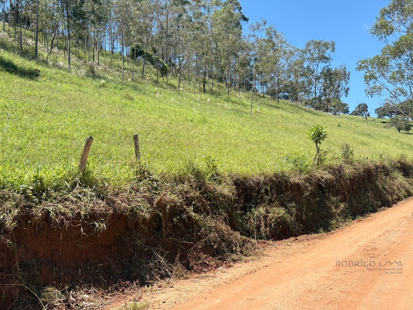 Terreno para venda em Dom Viçoso Mg