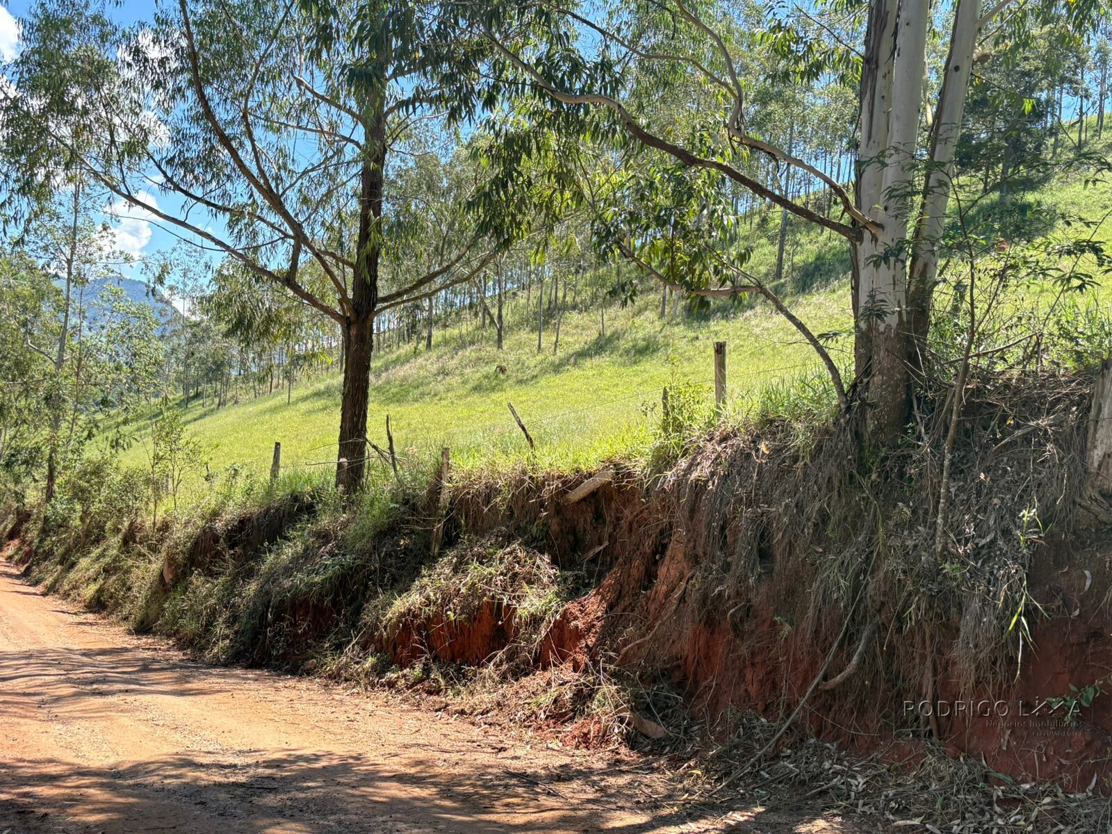 Terreno para venda em Dom Viçoso Mg