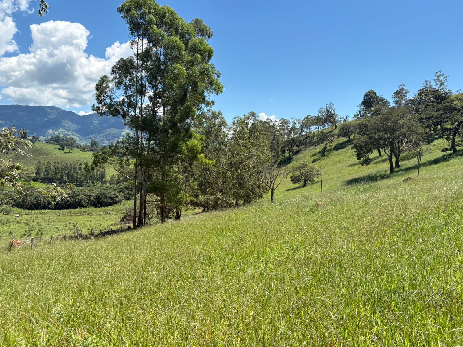 Terreno para venda em Dom Viçoso Mg
