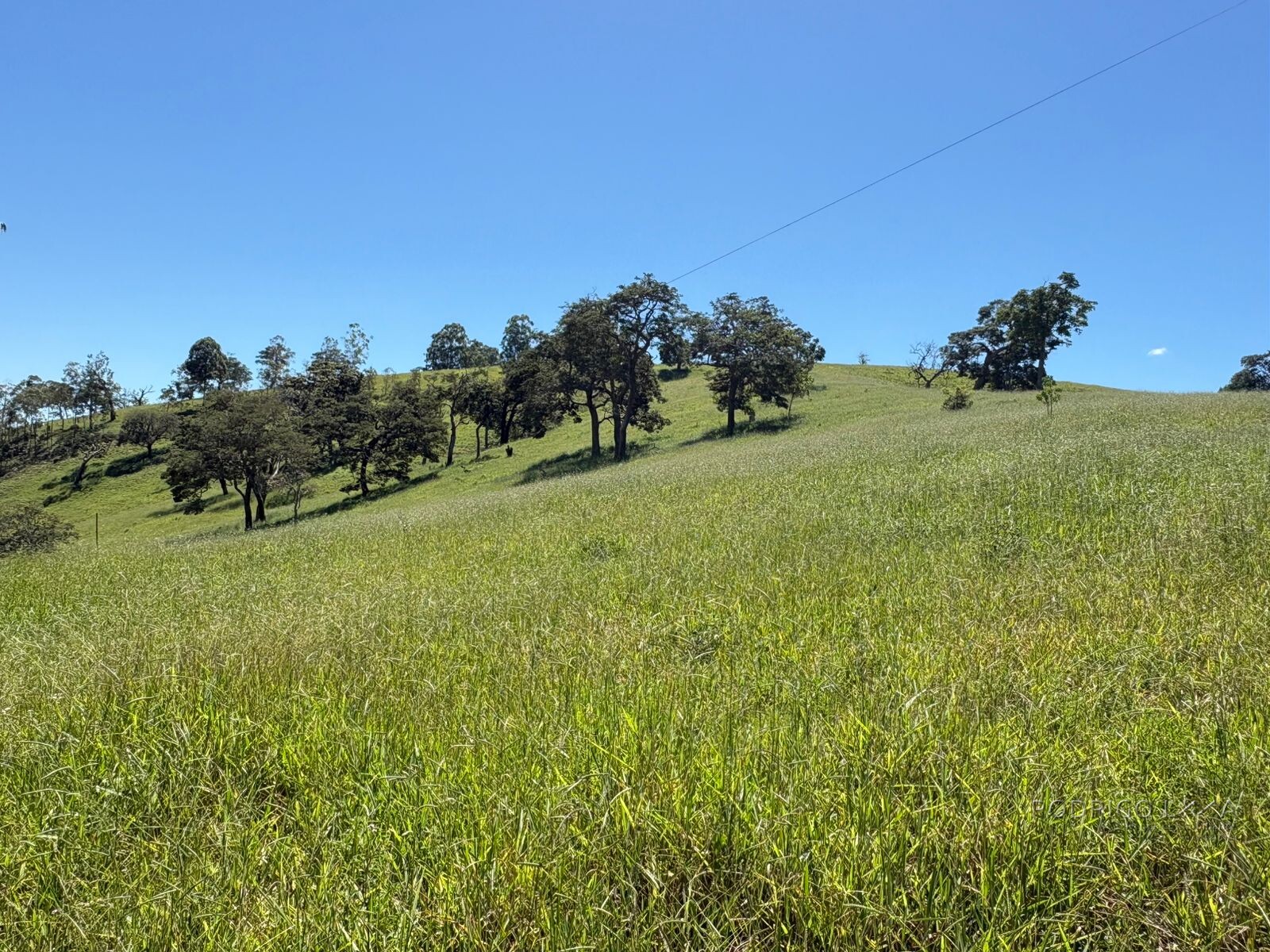 Terreno para venda em Dom Viçoso Mg