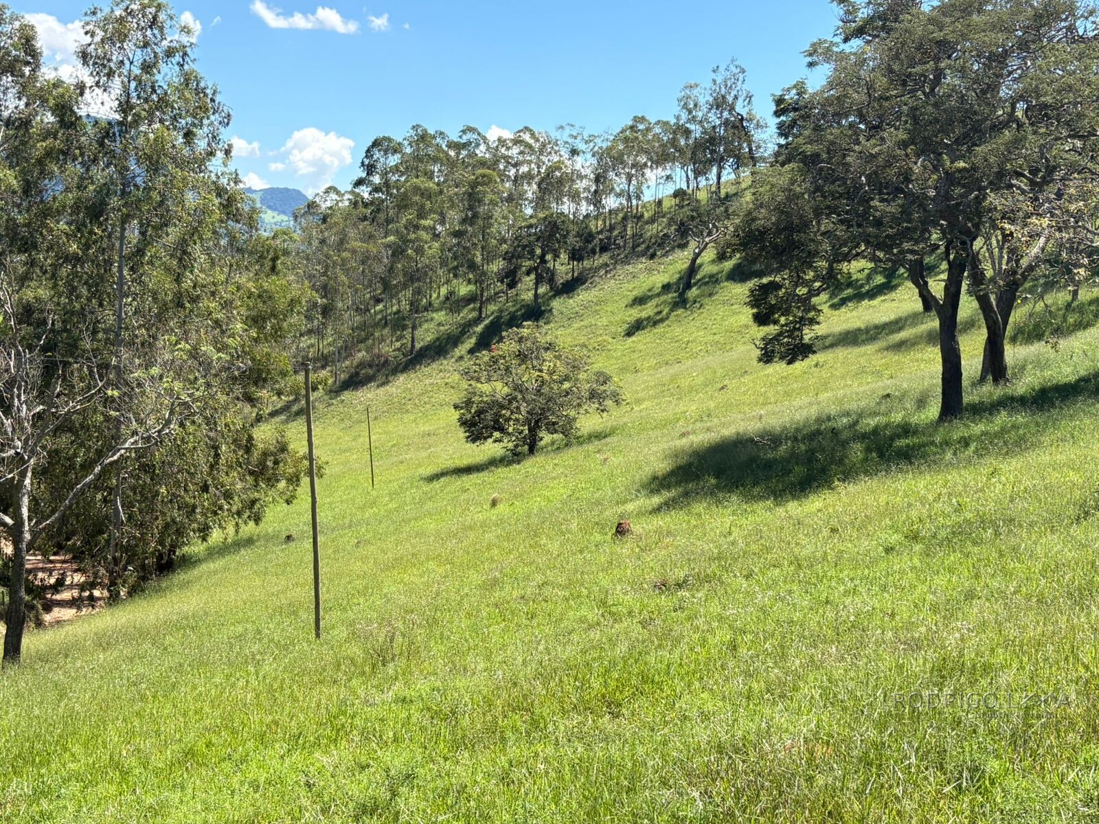 Terreno para venda em Dom Viçoso Mg