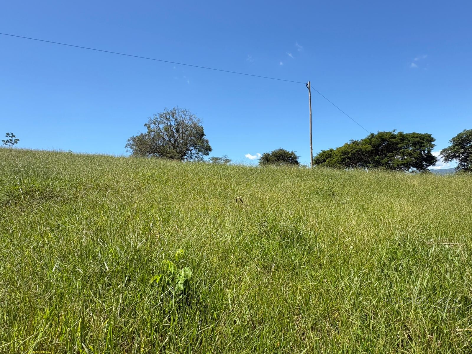 Terreno para venda em Dom Viçoso Mg
