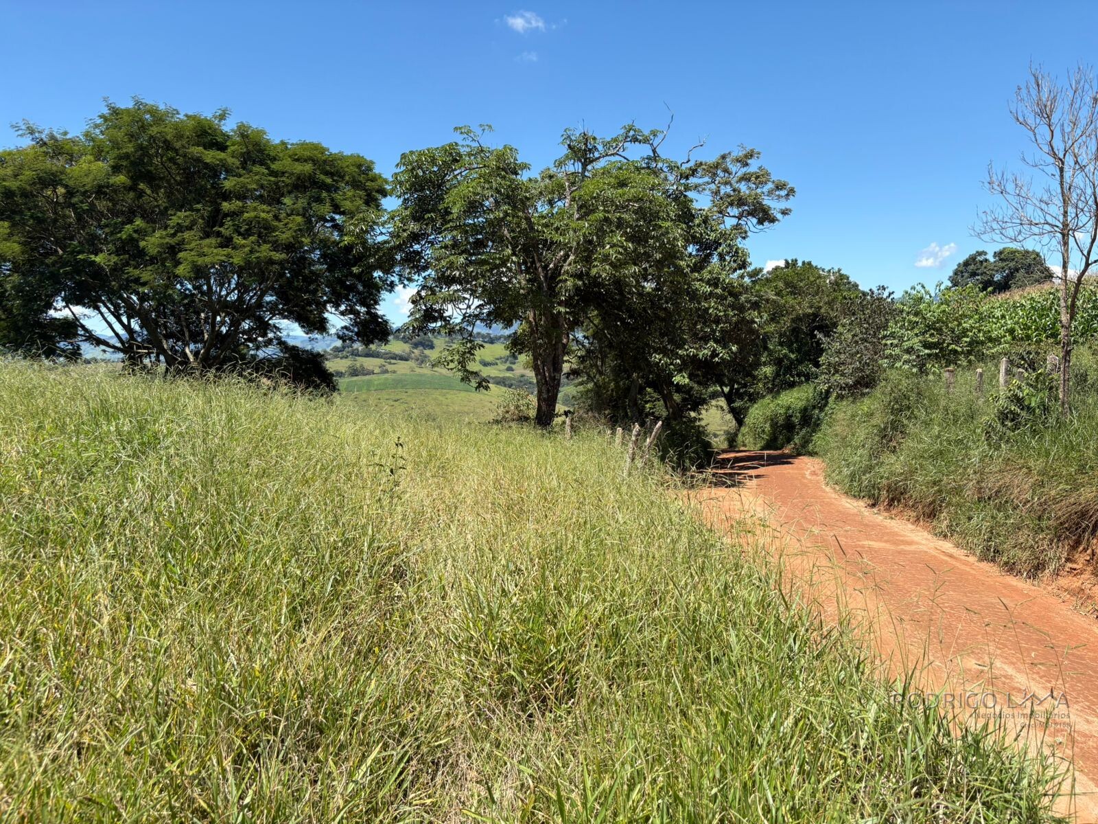 Terreno para venda em Dom Viçoso Mg