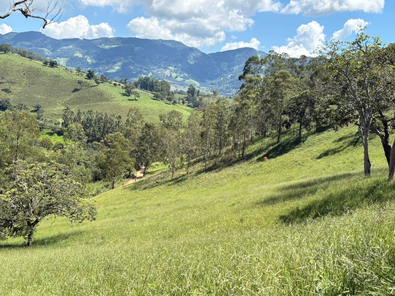 Terreno para venda em Dom Viçoso Mg