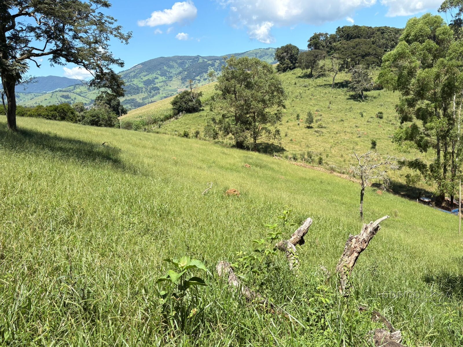 Terreno para venda em Dom Viçoso Mg