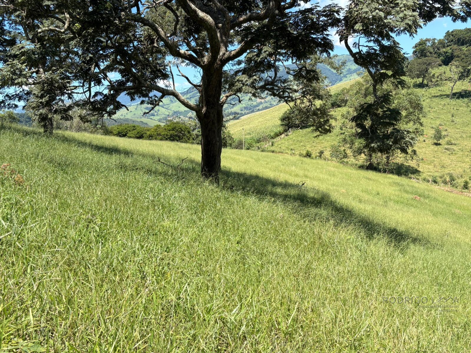 Terreno para venda em Dom Viçoso Mg