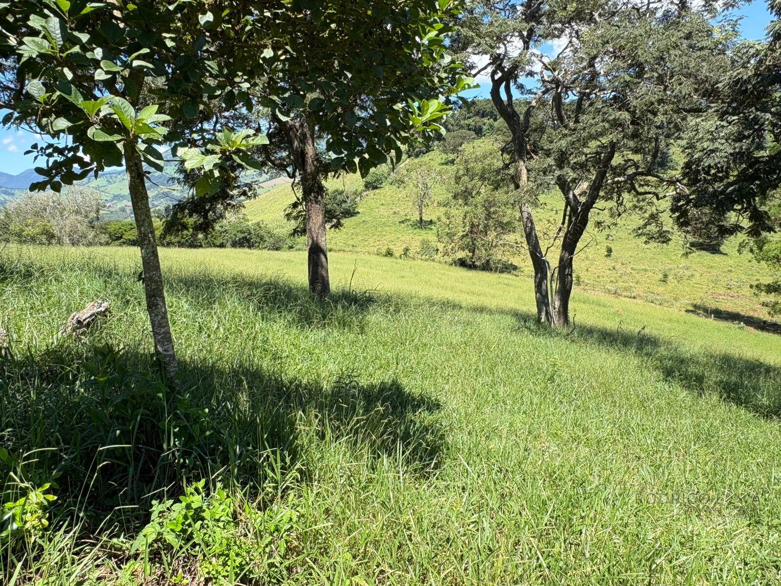 Terreno para venda em Dom Viçoso Mg