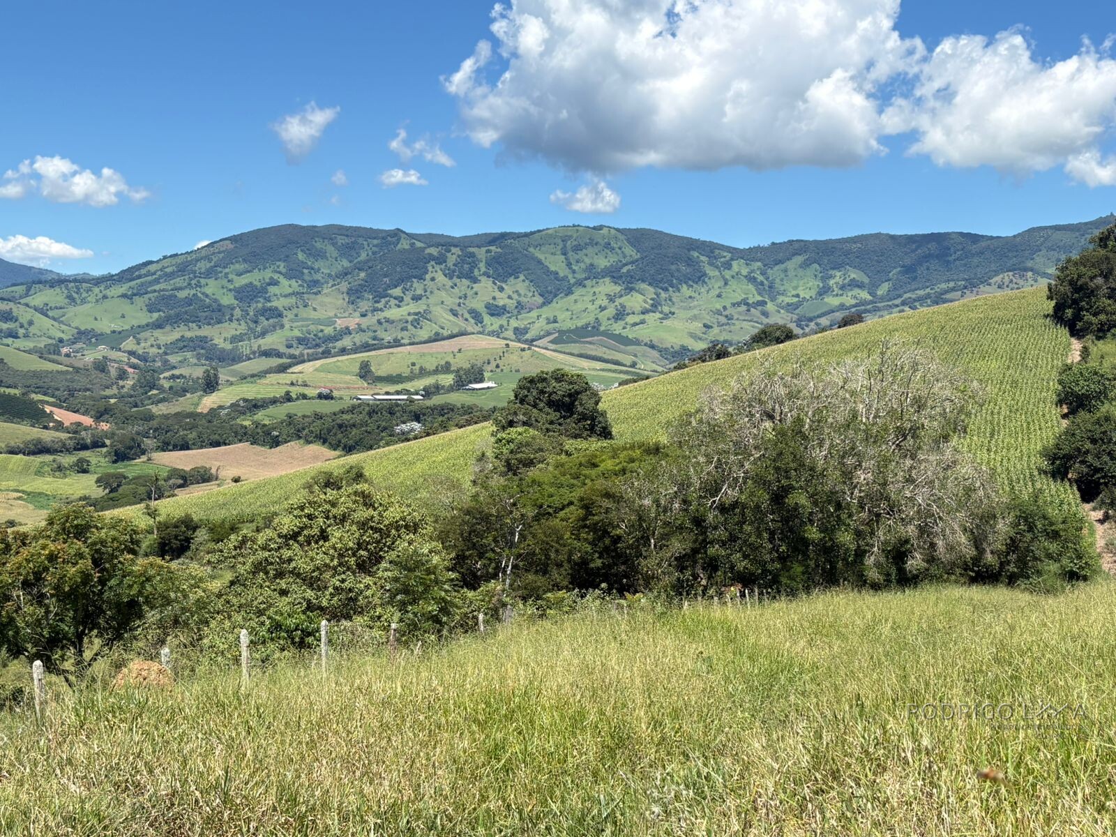 Terreno para venda em Dom Viçoso Mg