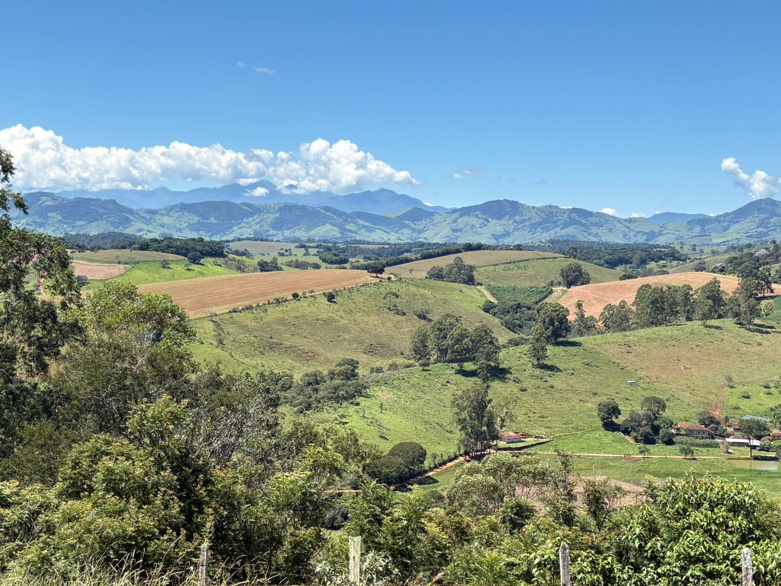 Terreno para venda em Dom Viçoso Mg