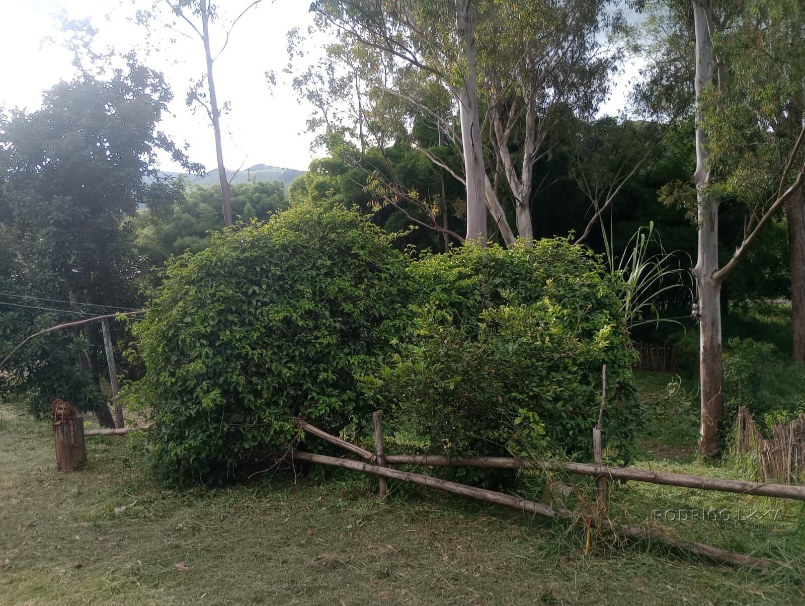 Terreno com casa para venda em Soledade de Minas MG