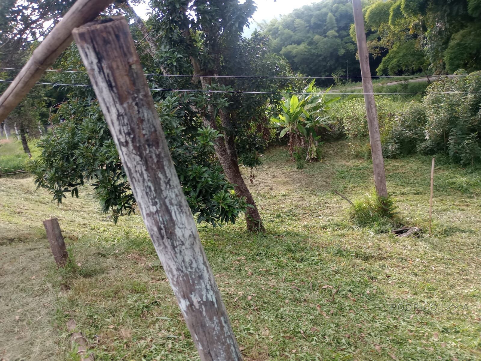Terreno com casa para venda em Soledade de Minas MG