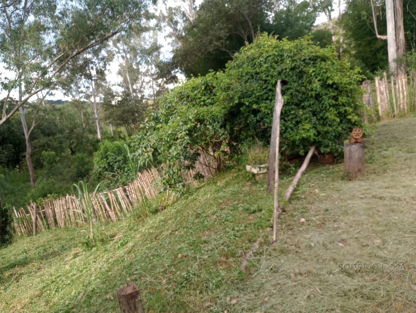 Terreno com casa para venda em Soledade de Minas MG