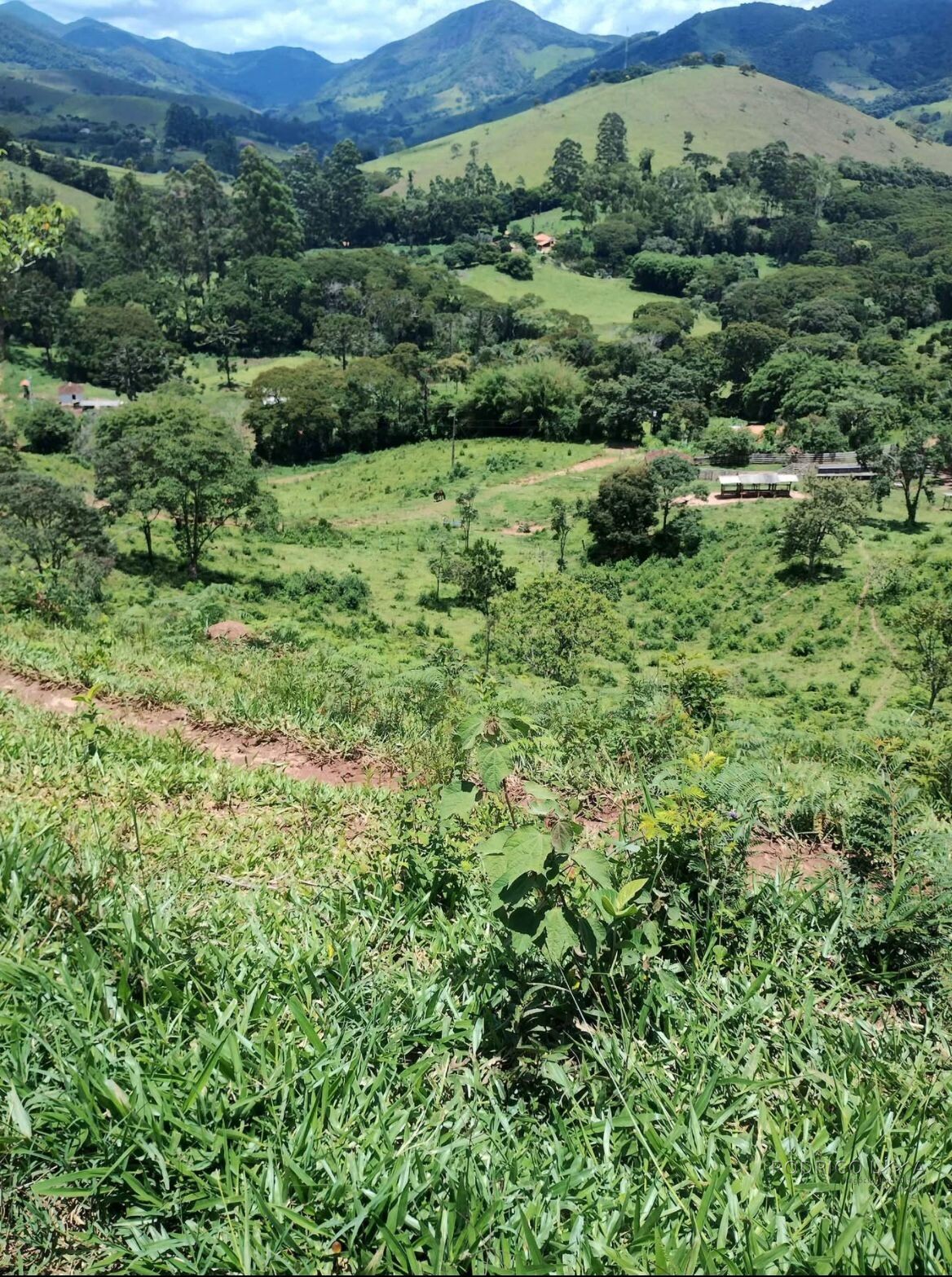 Fazenda para venda em Carvalhos MG