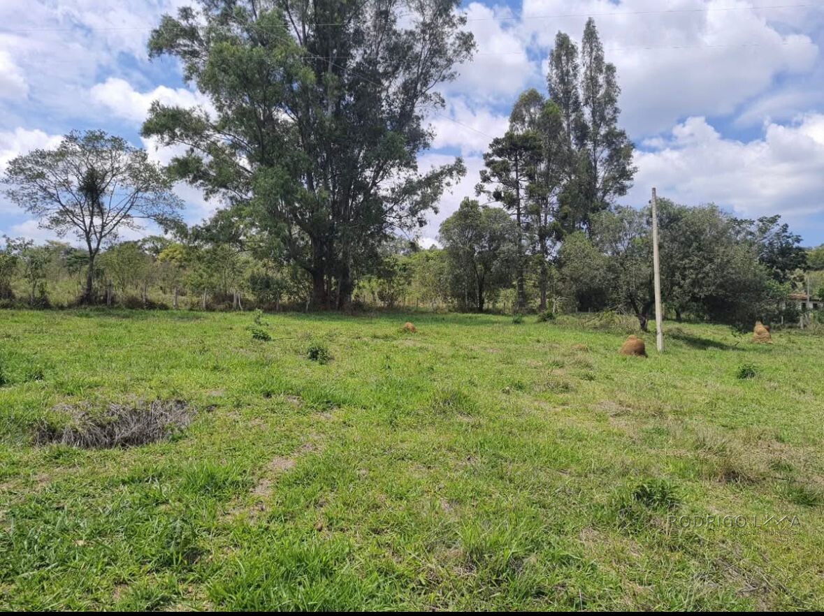 Fazenda para venda em Carvalhos MG