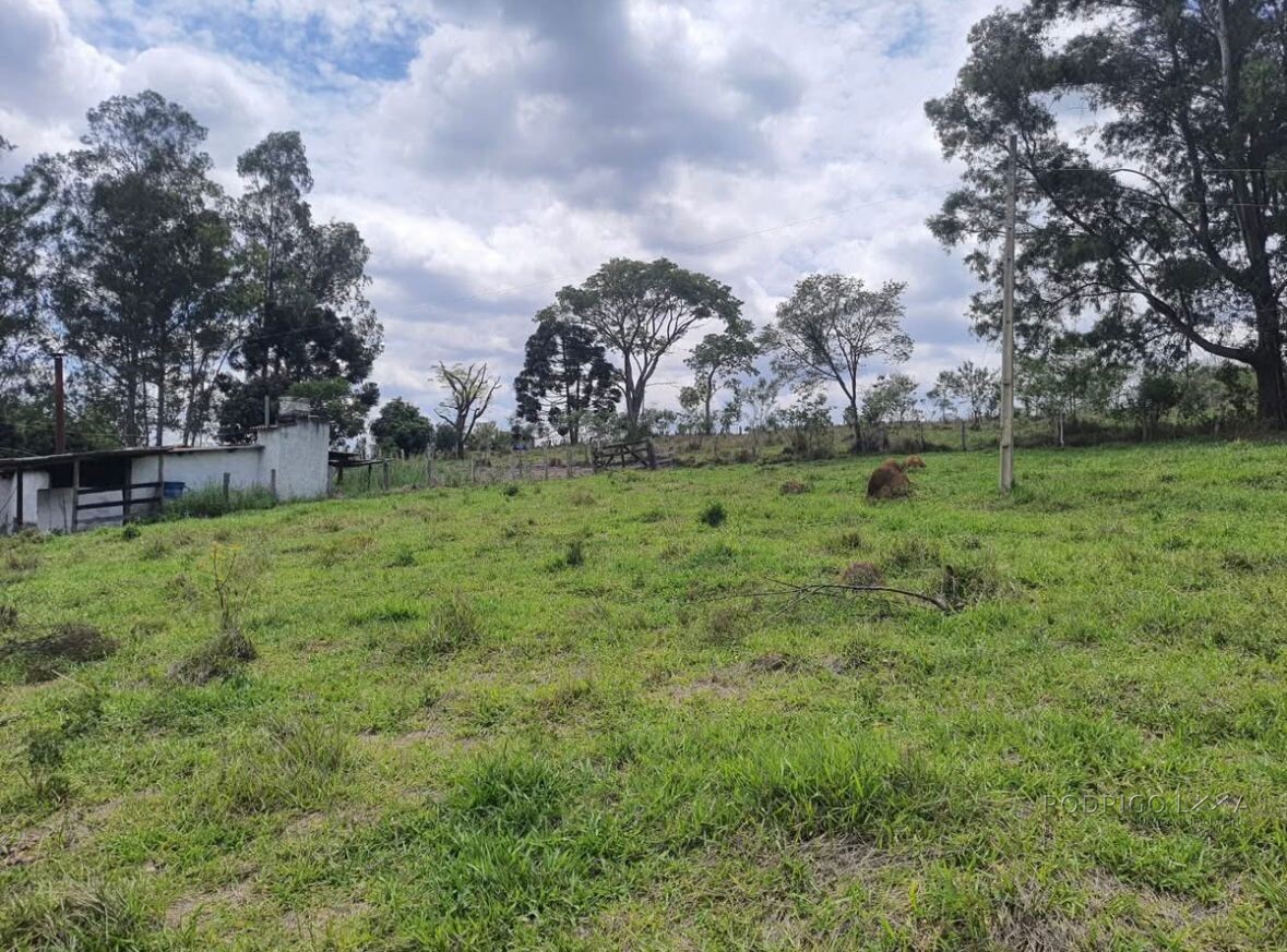 Fazenda para venda em Carvalhos MG
