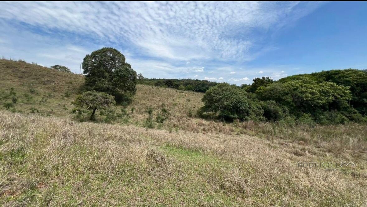 Fazenda para venda em Carvalhos MG