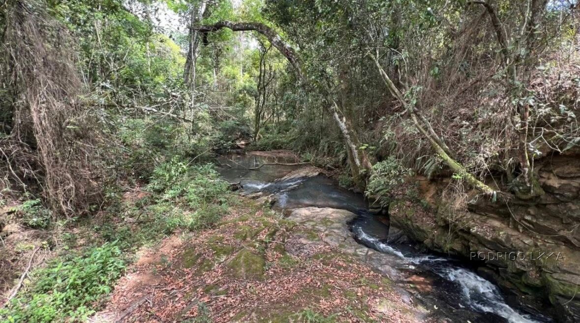 Fazenda para venda em Carvalhos MG