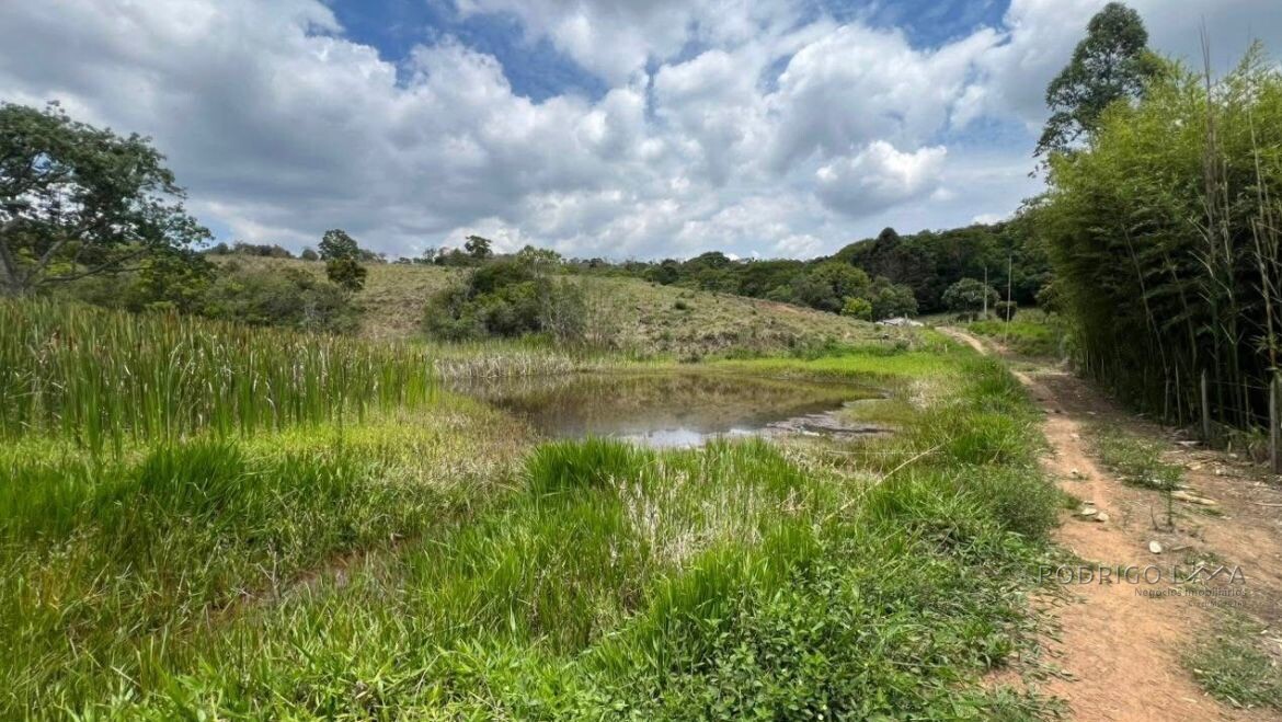 Fazenda para venda em Carvalhos MG