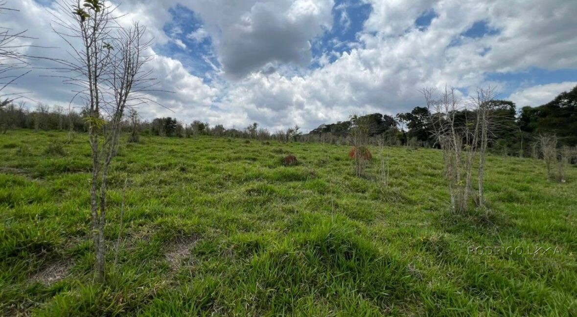 Fazenda para venda em Carvalhos MG