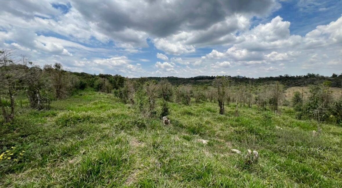 Fazenda para venda em Carvalhos MG