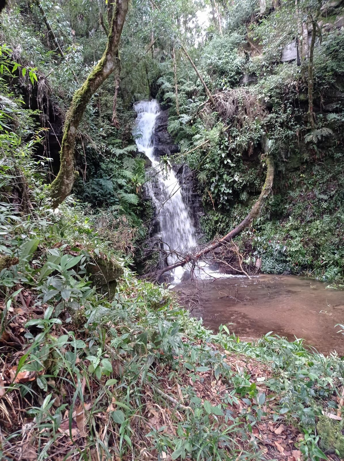 Propriedade para venda em Itamonte MG