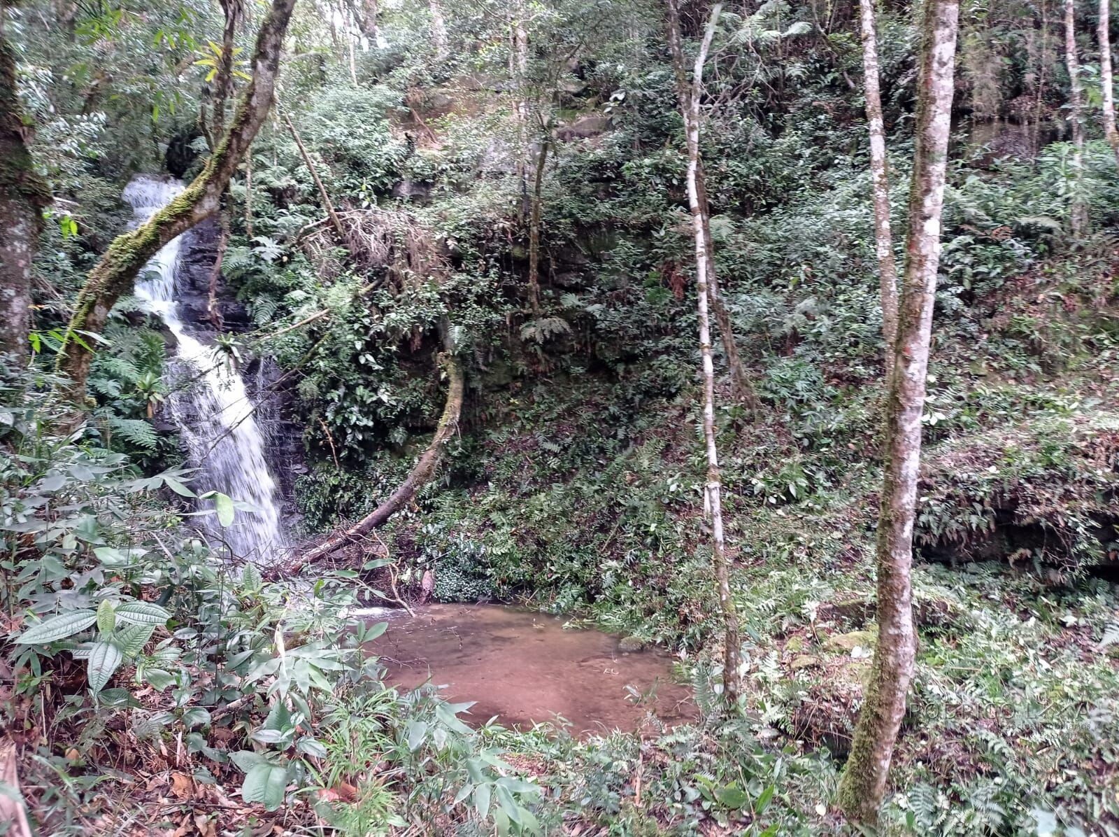 Propriedade para venda em Itamonte MG