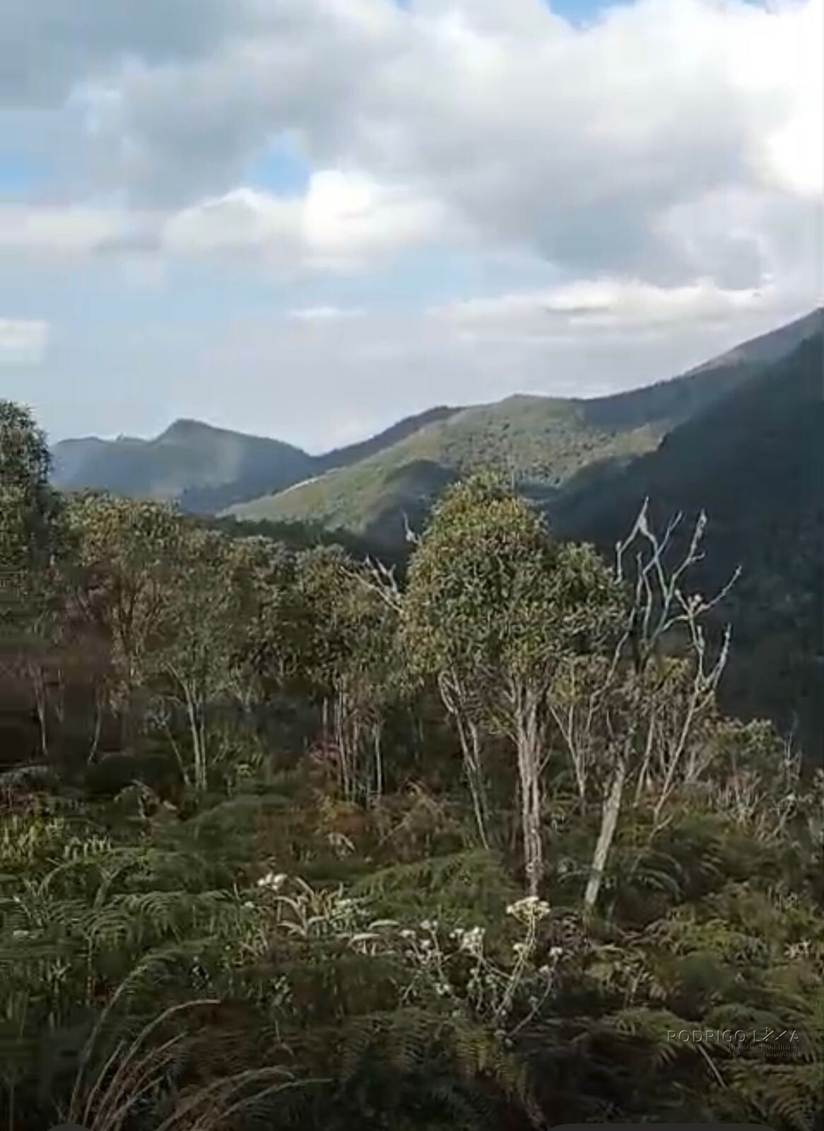 Propriedade para venda em Itamonte MG