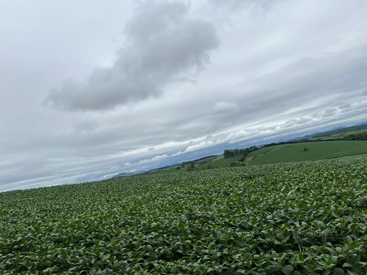 Fazenda para venda em Minduri MG