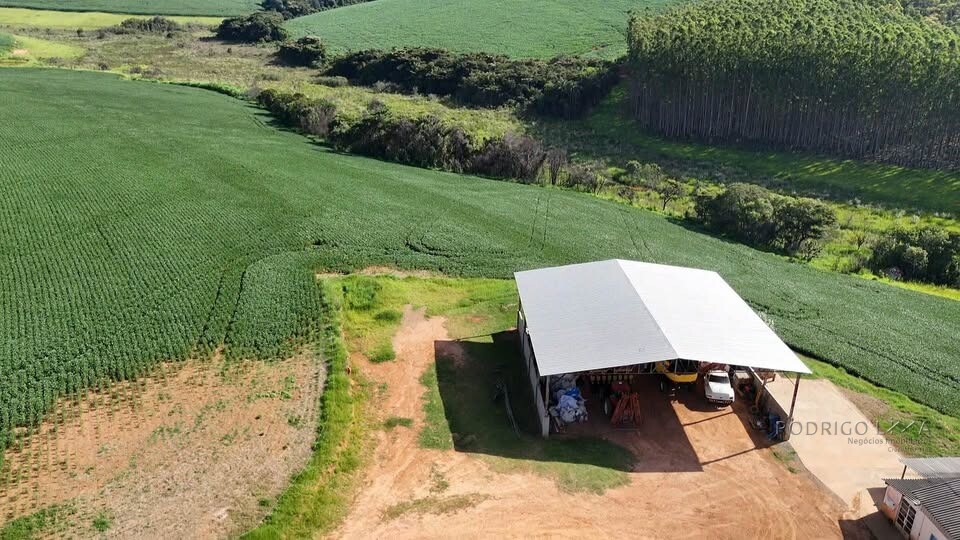 Fazenda para venda em Minduri MG