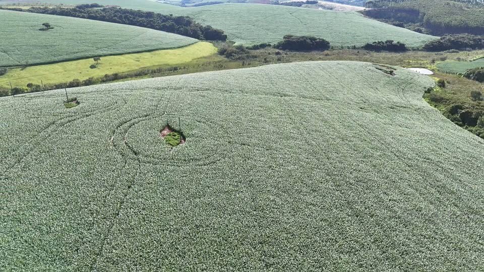 Fazenda para venda em Minduri MG