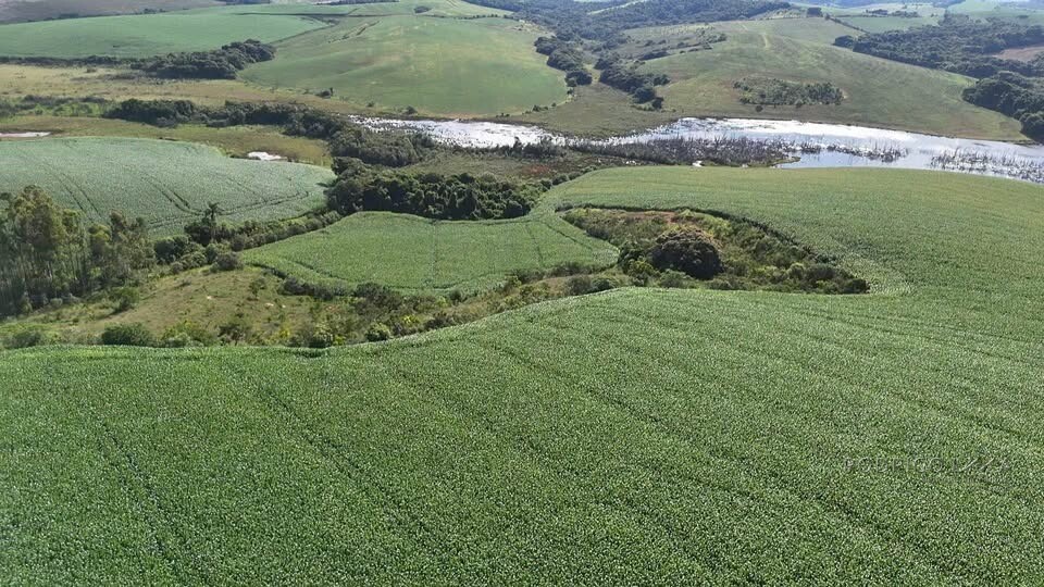 Fazenda para venda em Minduri MG