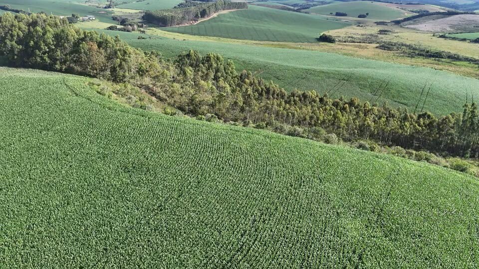 Fazenda para venda em Minduri MG