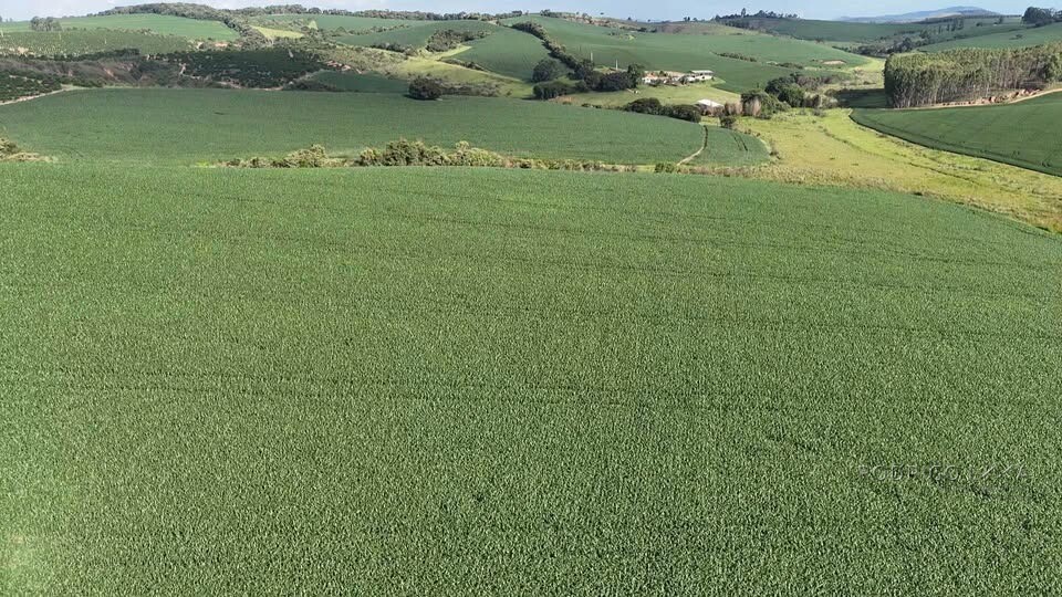 Fazenda para venda em Minduri MG