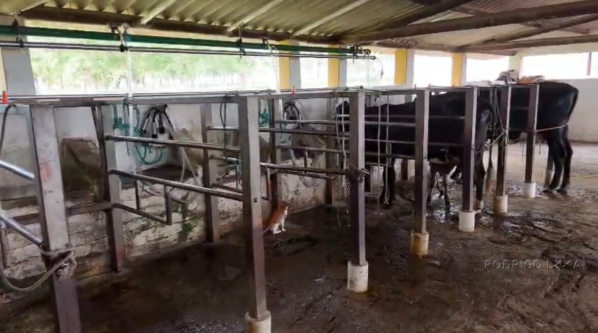 Fazenda para venda em Buenópolis MG