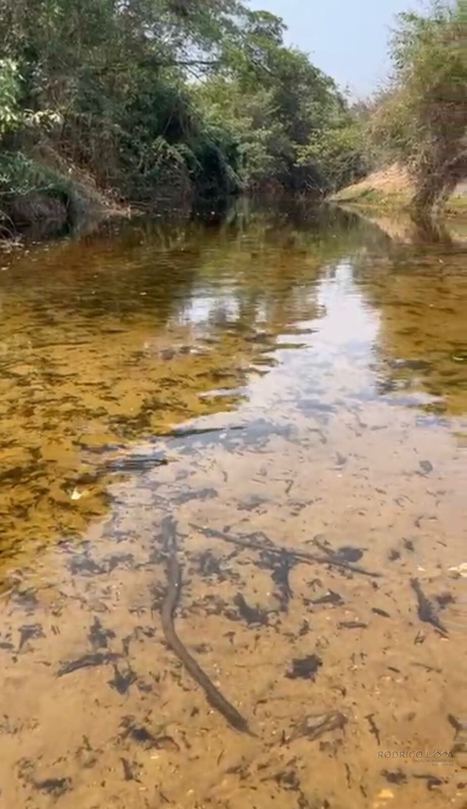 Fazenda para venda em Buenópolis MG