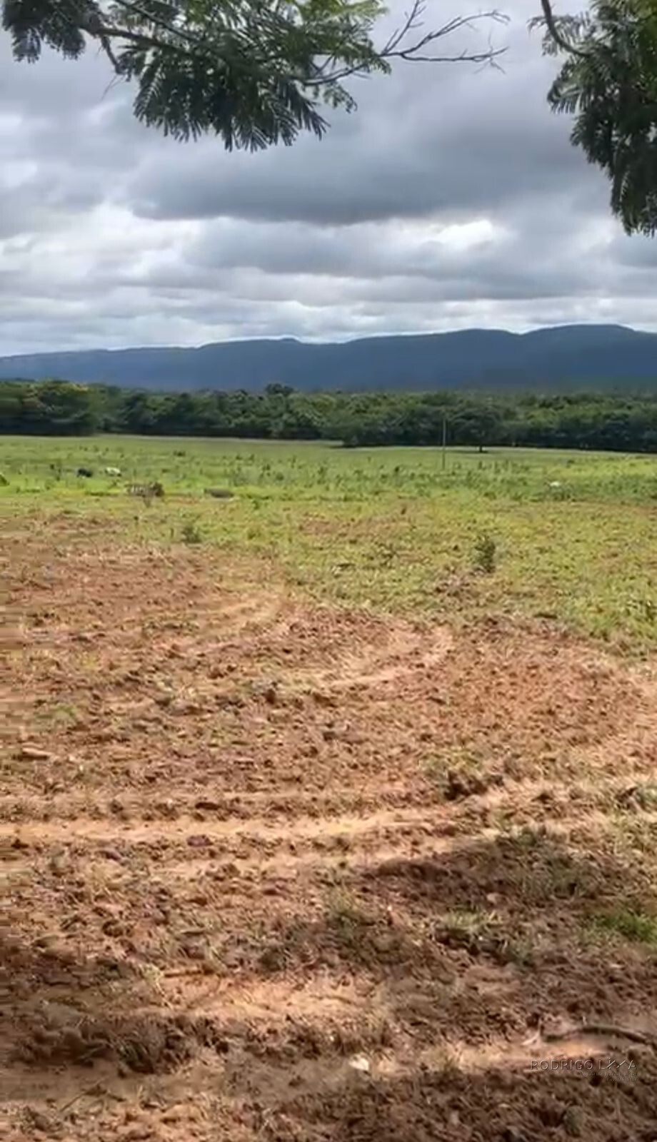 Fazenda para venda em Buenópolis MG
