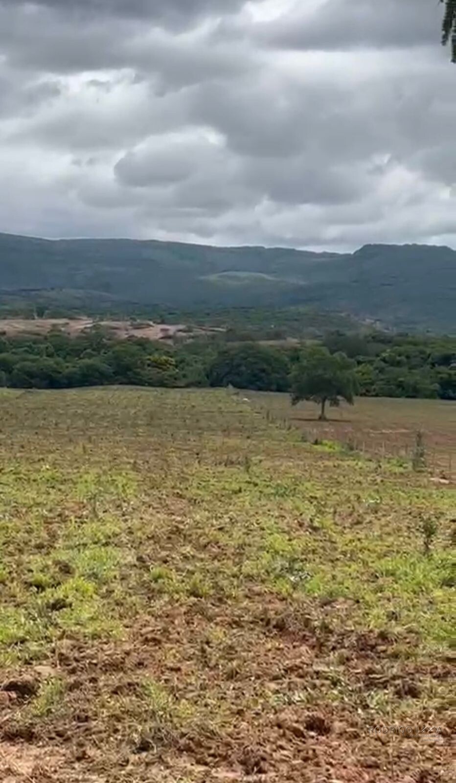 Fazenda para venda em Buenópolis MG