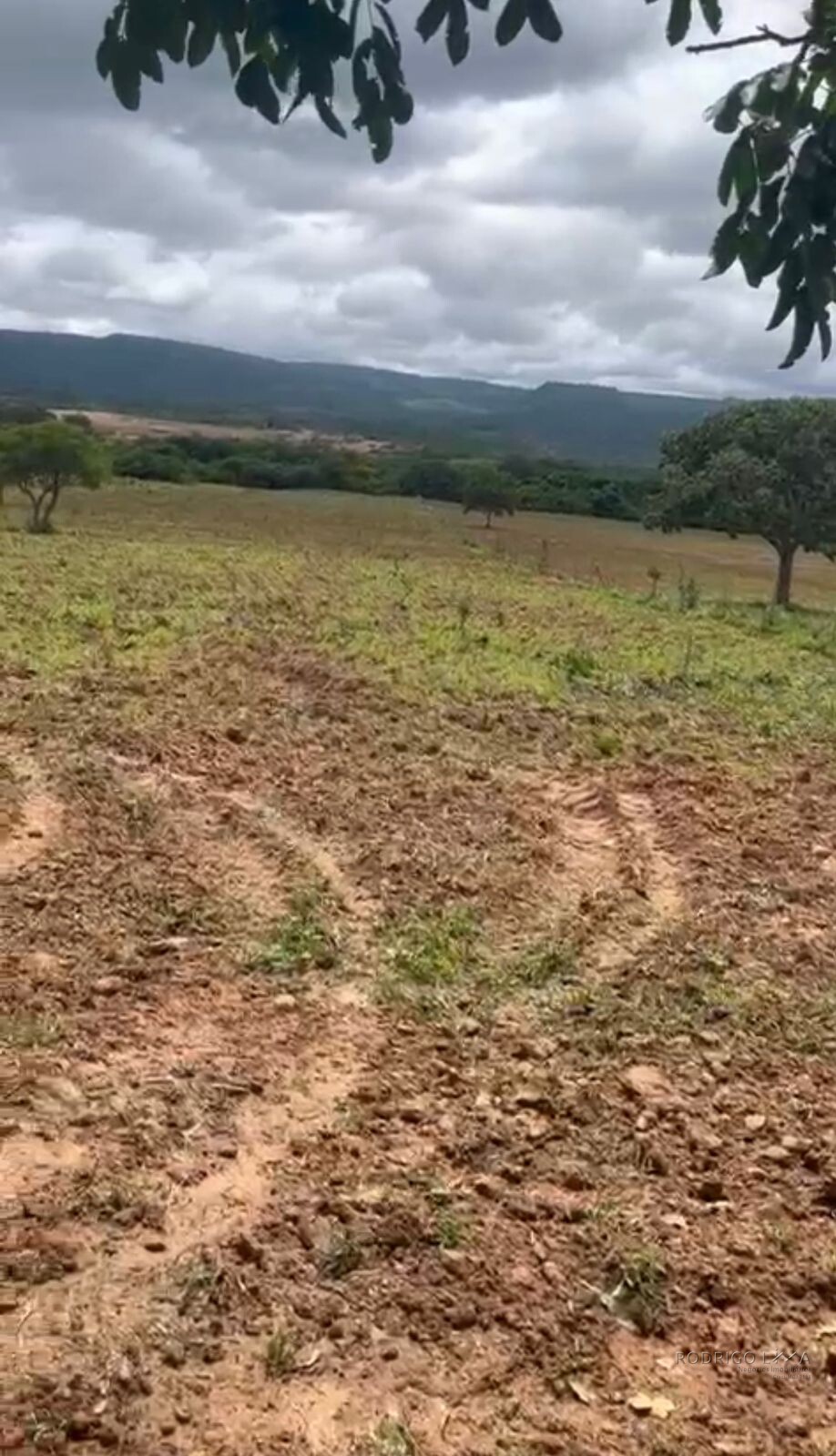 Fazenda para venda em Buenópolis MG