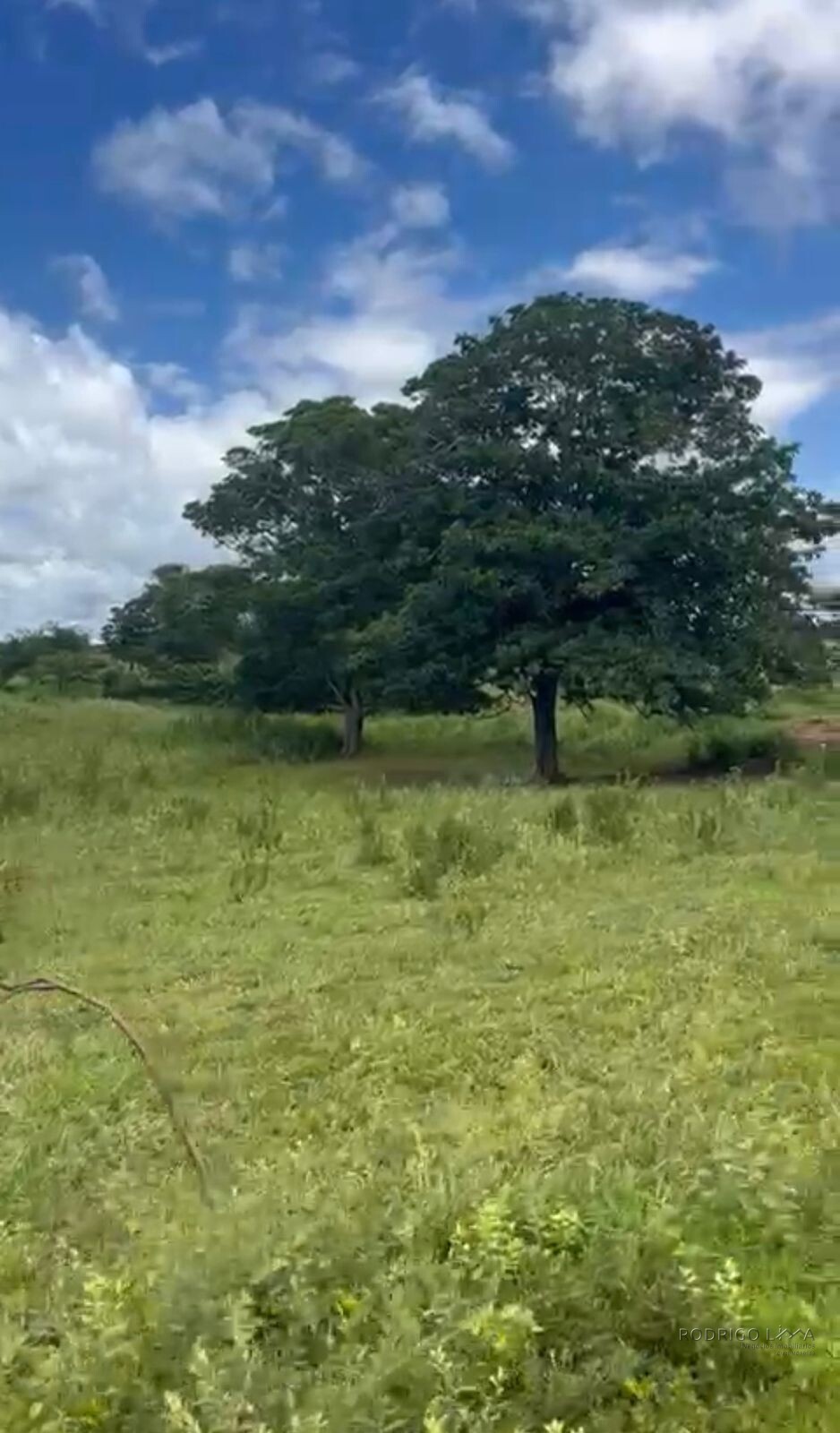Fazenda para venda em Buenópolis MG