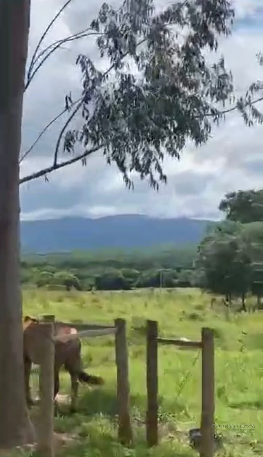 Fazenda para venda em Buenópolis MG
